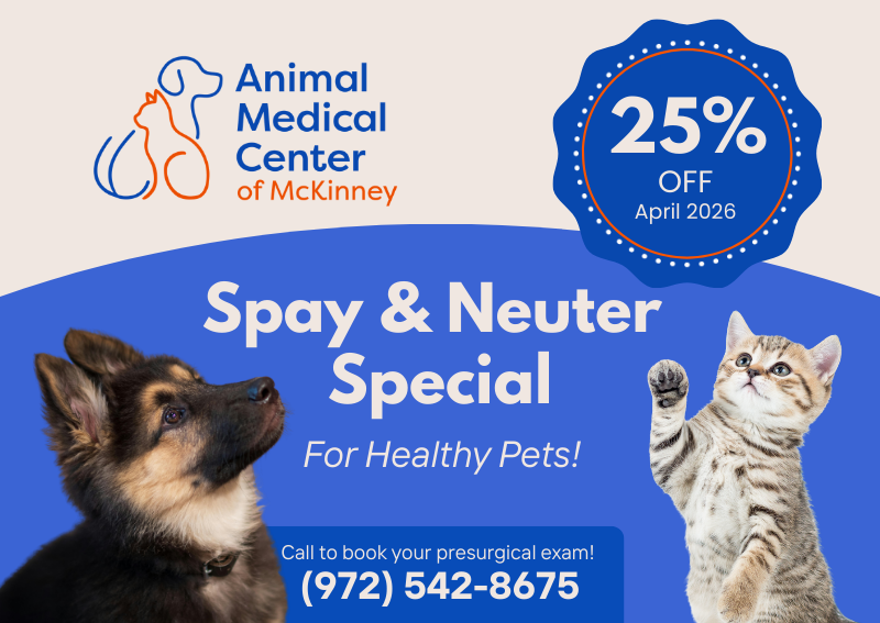 Carousel Slide 1: Learn More >>